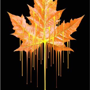 Giuseppe Fortunato – Leaf of life